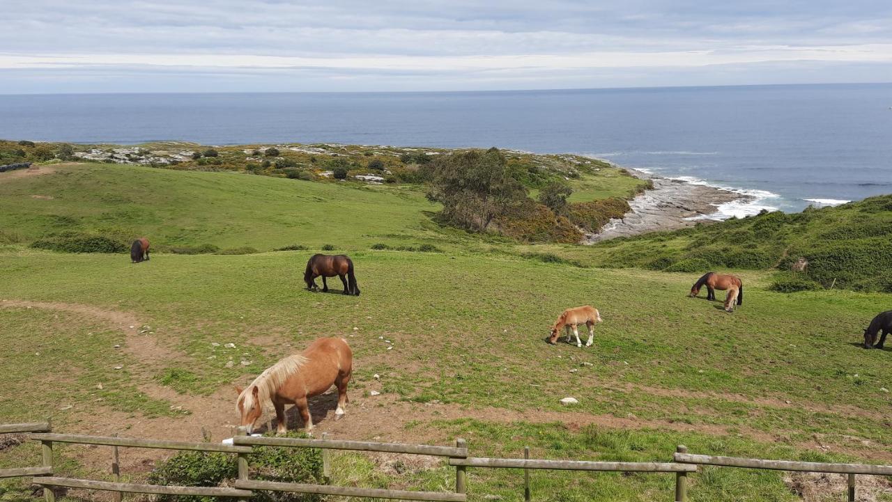 Posada Punta Linera San Vicente De La Barquera Eksteriør billede