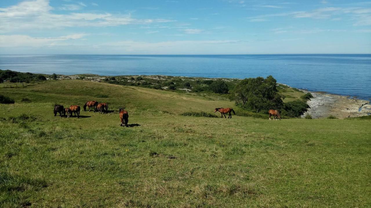 Posada Punta Linera San Vicente De La Barquera Eksteriør billede